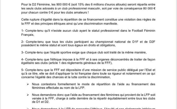 #D1Arkema - D2 : L'inégalité des aides financières finalement réduite entre clubs "pro" et "amateur"