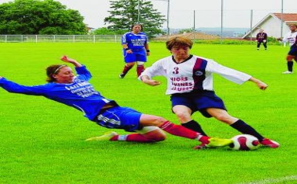 Limoges, Blanquefort, Algrange et Muret promus en D2